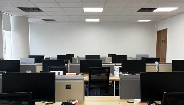 企业在信息发布中如何选择合适的品牌策略?